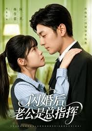 闪婚后老公是总指挥