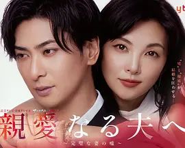 致亲爱的丈夫 完美妻子的谎言