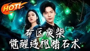 矿区废柴，觉醒透视赌石术