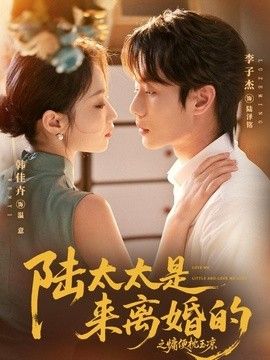 陆太太是来离婚的之慵便枕玉凉